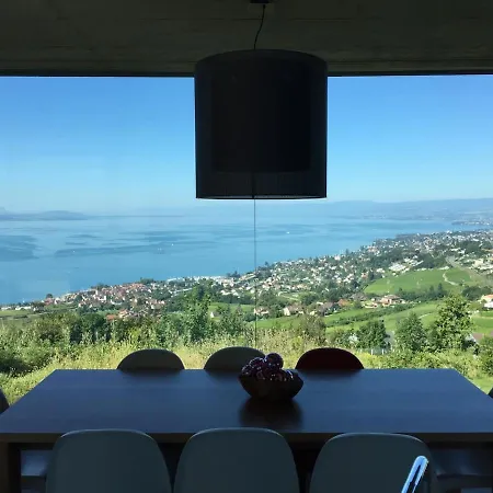 Unique With Amazing Views Over Lake Geneva Lutry