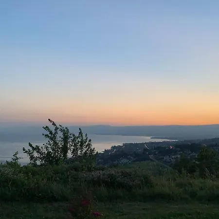 Unique With Amazing Views Over Lake Geneva * לוטרי